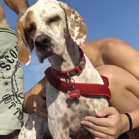 B&B Borgo Del Priolo - Petfriendly Cesena Eksteriør billede