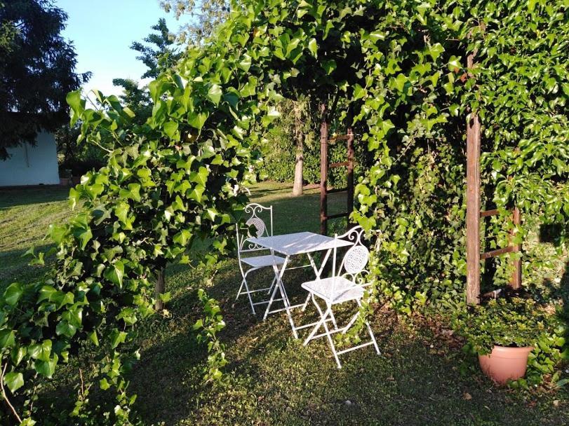 B&B Borgo Del Priolo - Petfriendly Cesena Eksteriør billede